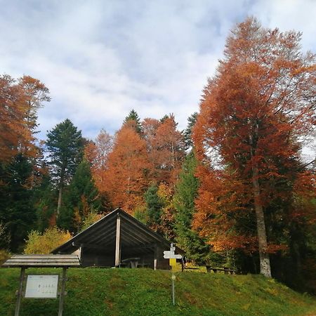 Hotel Am Kurpark Тодтмос Экстерьер фото