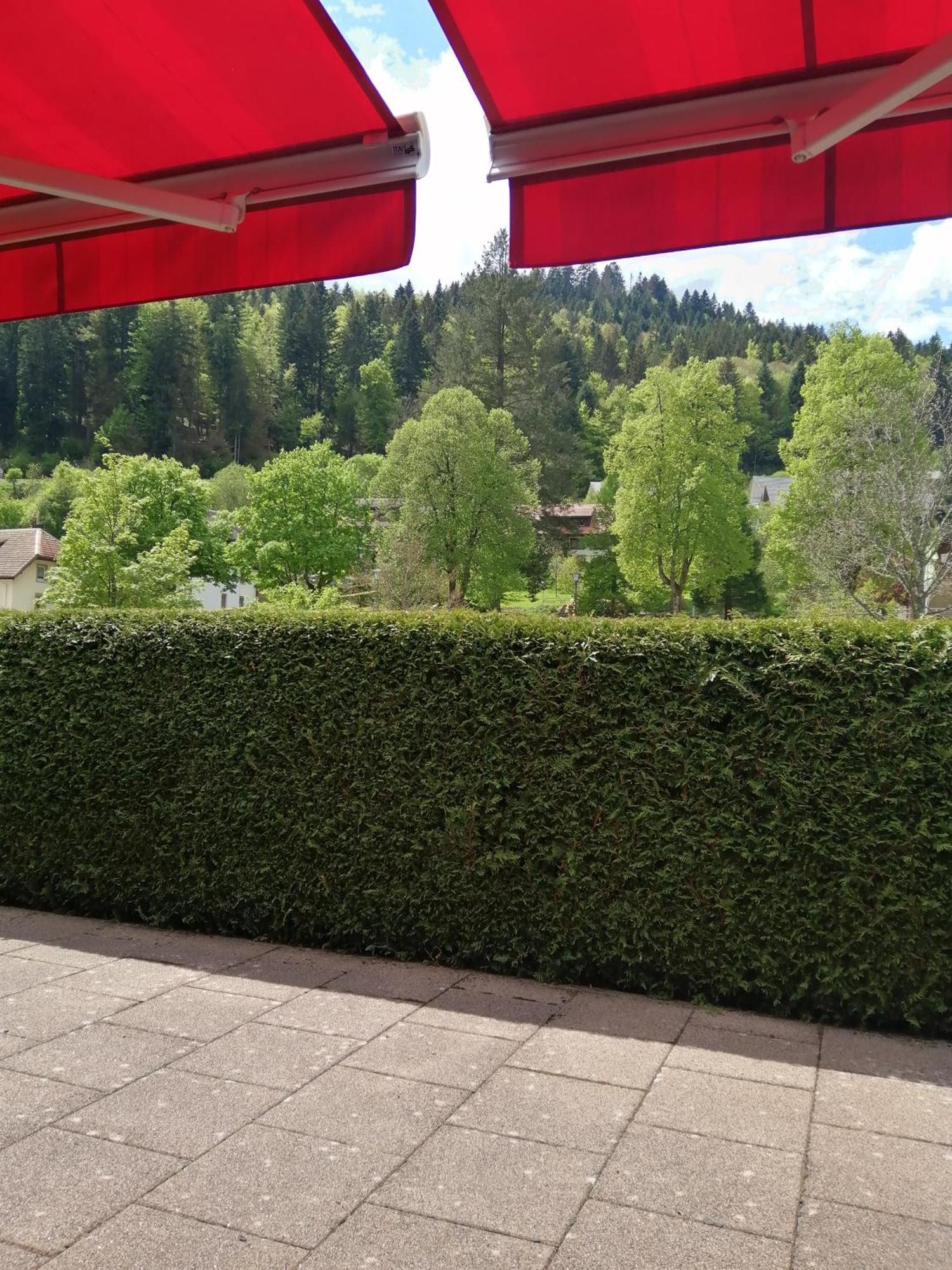Hotel Am Kurpark Тодтмос Экстерьер фото